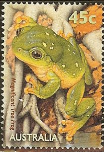 frogs1