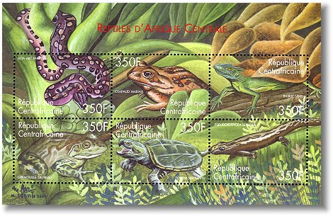 Potential interactions among disease, pesticides, water quality and adjacent land cover in amphibian habitats in the US