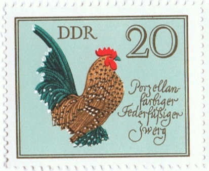 geflügel1