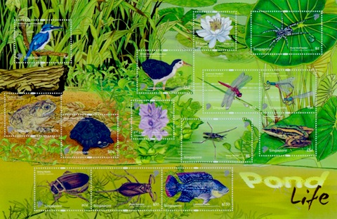 pond life