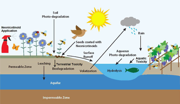 Neonics emissions