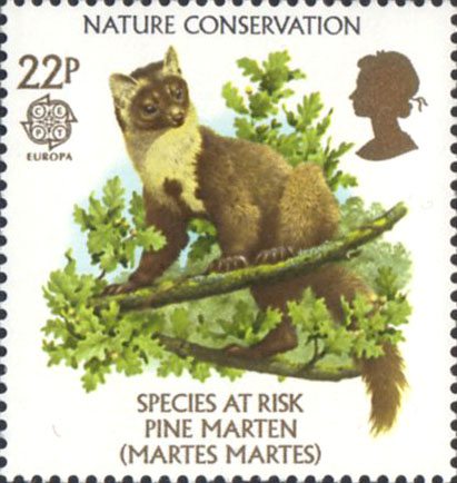 conservation