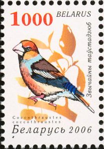 hawfinch