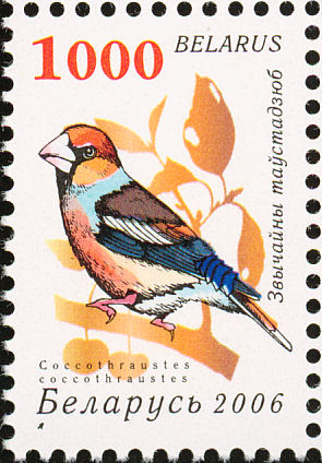 hawfinch