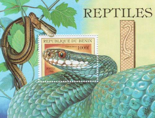 The Amphibian and Reptile Extinction Crisis