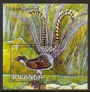 superb lyrebird