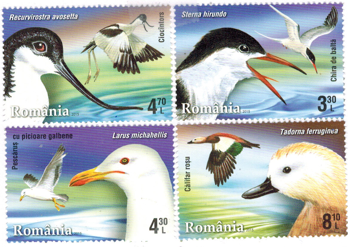 watervogels