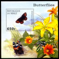 Butterfly 14