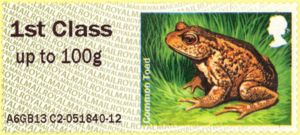 Hundreds of thousands of toads have been lost from the UK countryside in the past 30 years