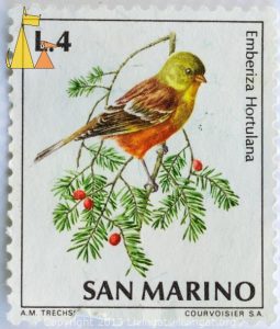 Ortolan_Bunting_San_Marino_stamp_AM_Trechslin_Courvoisier_SA_L_4_Emberiza_hortulana