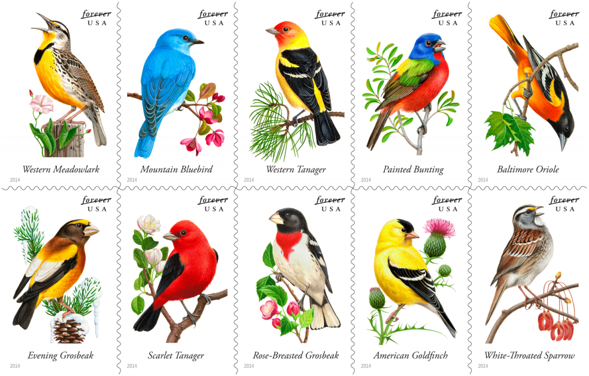 Songbirds_Block_0