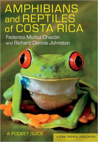 Silent spring in the rainforest: amphibians face extinction in biodiversity hotspot Costa Rica
