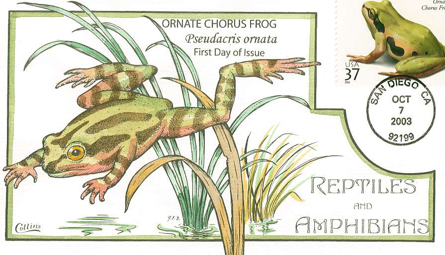 amphibians2