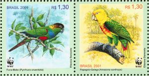 birds55