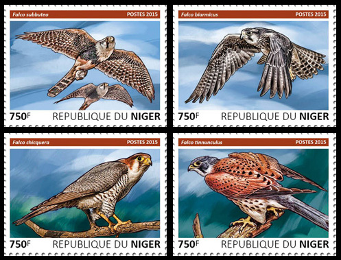hawk2