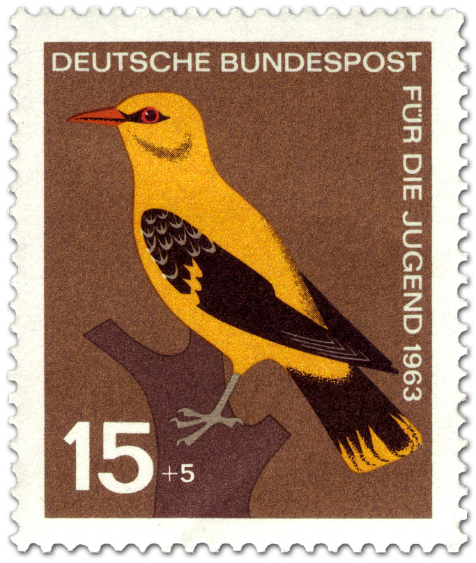 vogel-pirol-oriolus-oriolidae-gr[1]