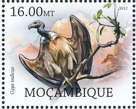 vulture 4
