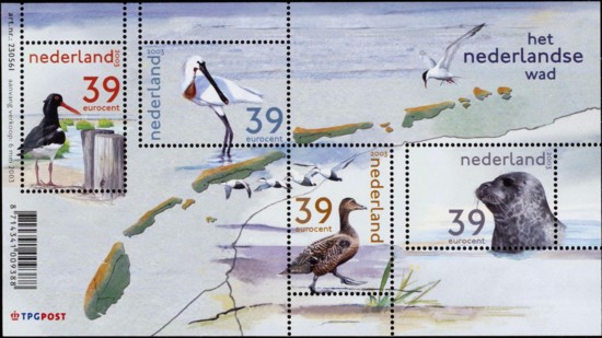 waddenvogels