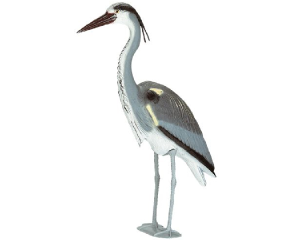 Blauwe-Reiger