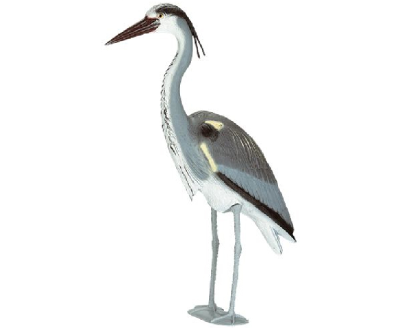 Blauwe-Reiger