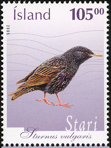 Starling2