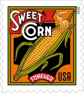 Sweet-Corn