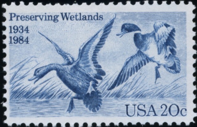 Wetlands 3