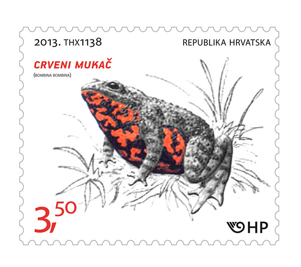 Amphibians in continued global decline