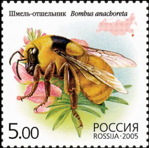 bee7