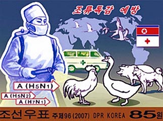 bird flu