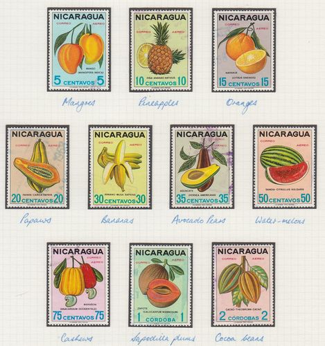 fruit