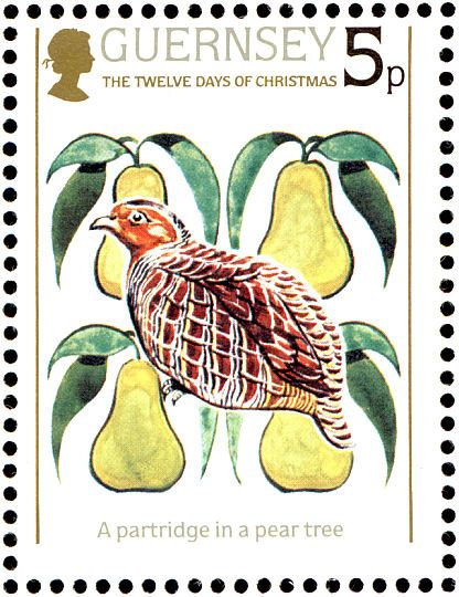 partridge2