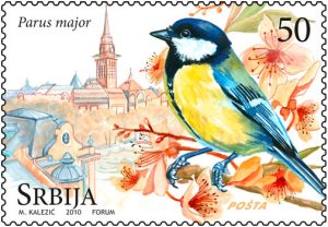 parus-major-velika