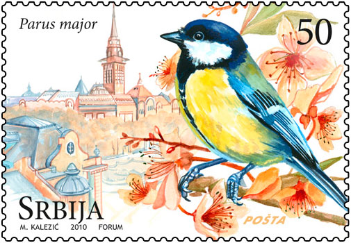 parus-major-velika
