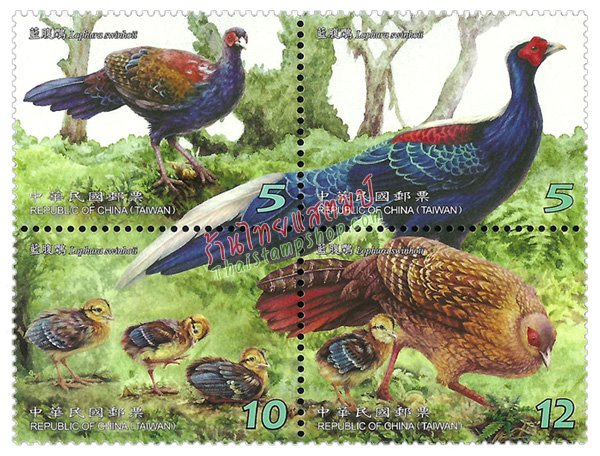 pheasant1