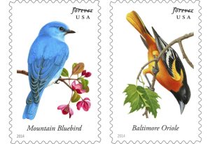songbirds