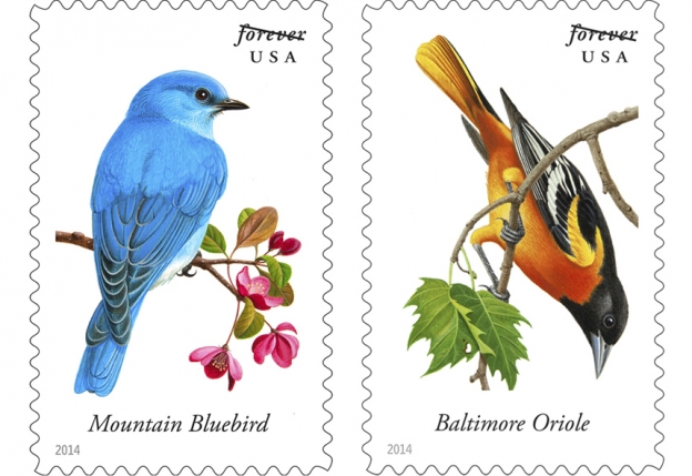 songbirds