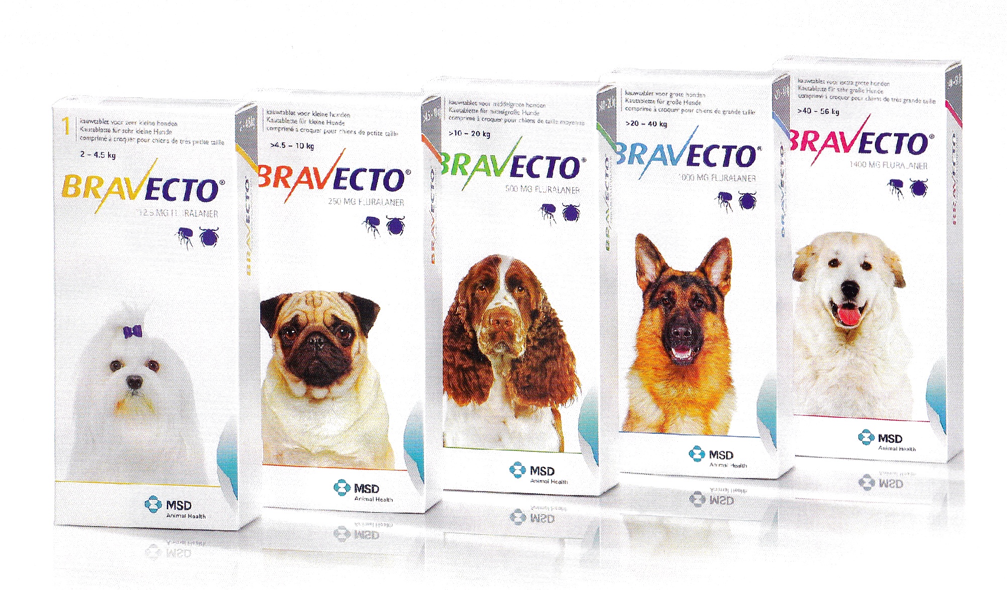 Bravecto1