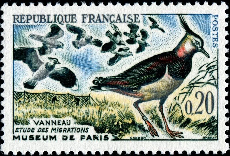 MazelinFrance978Lapwings11-12-60YT1273Gandon