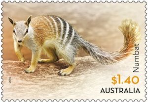 Numbat-Myrmecobius-fasciatus