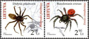 endangered-spiders