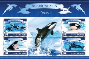 orcas