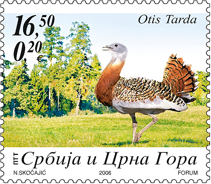 otis-tarda-velika