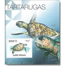 schildkroeten