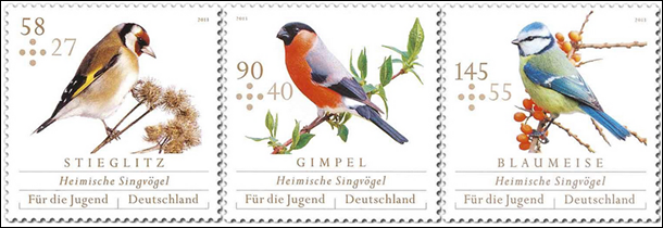 songbirds3