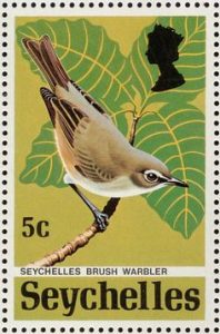 warbler