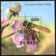wasp3
