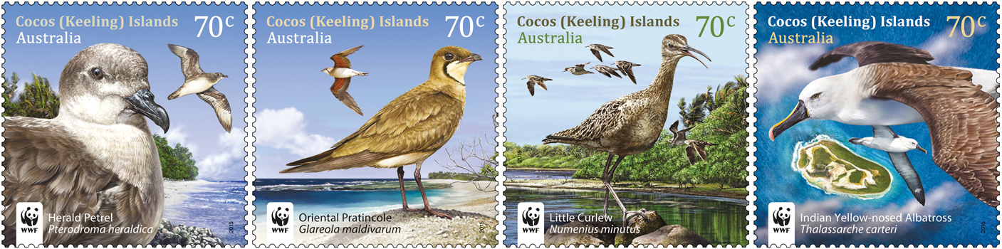 Visiting-Birds-Australia (1)