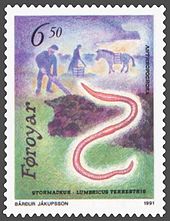earthworm_(Lumbricus_terrestris)
