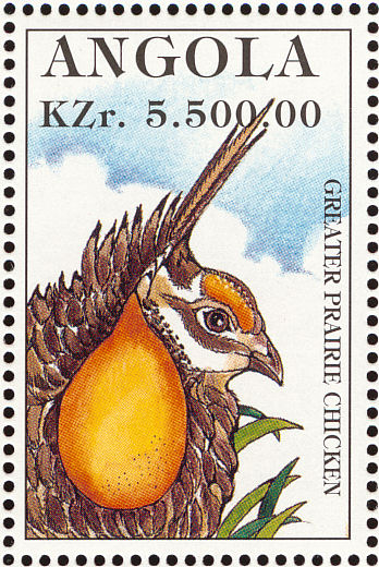 greater prairie chicken
